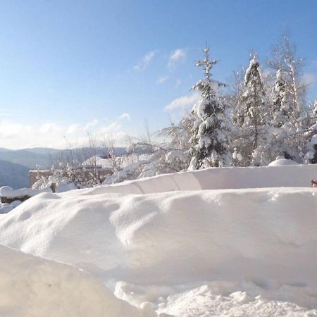 Laptitevosgienne Vue Lac A Gerardmer ! Bed & Breakfast Exterior photo