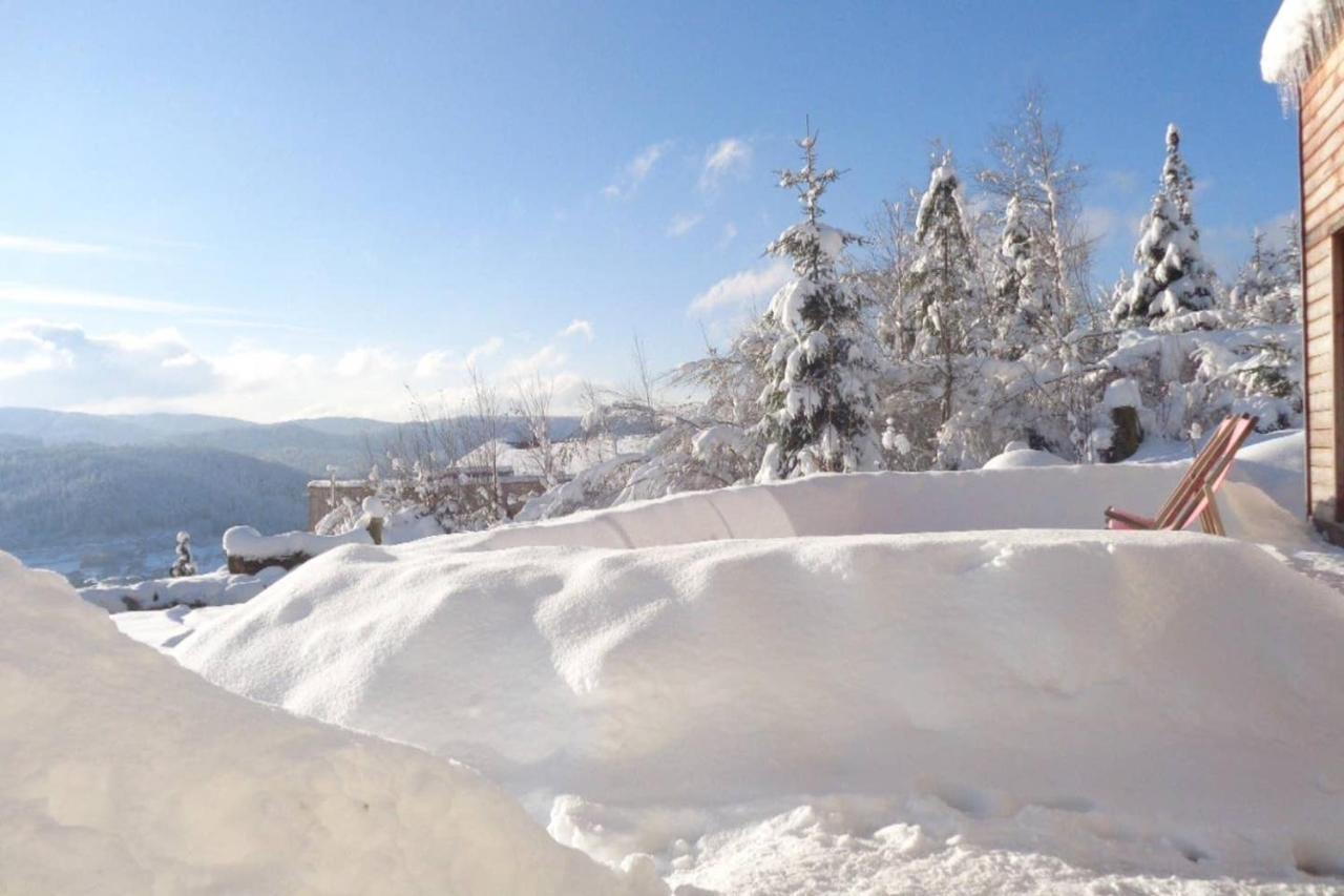 Laptitevosgienne Vue Lac A Gerardmer ! Bed & Breakfast Exterior photo